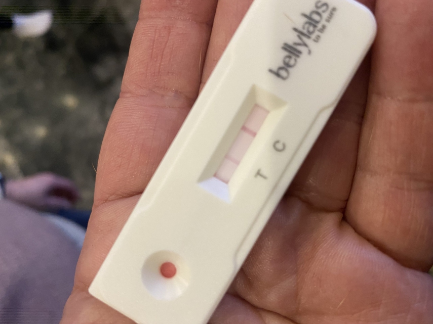 Bellylabs Canine Pregnancy Test PetTech