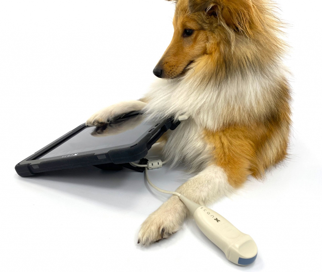 ScanX for Dog and Cat Breeders with Probe Bundle (Small MicroConvex and Large Convex Probes